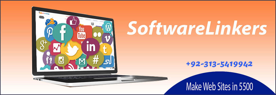 Web Design Company in Peshawar - Software Linkers
